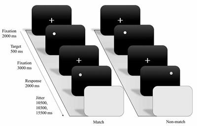 Effects of Exercise Modes on Neural Processing of Working Memory in Late Middle-Aged Adults: An fMRI Study